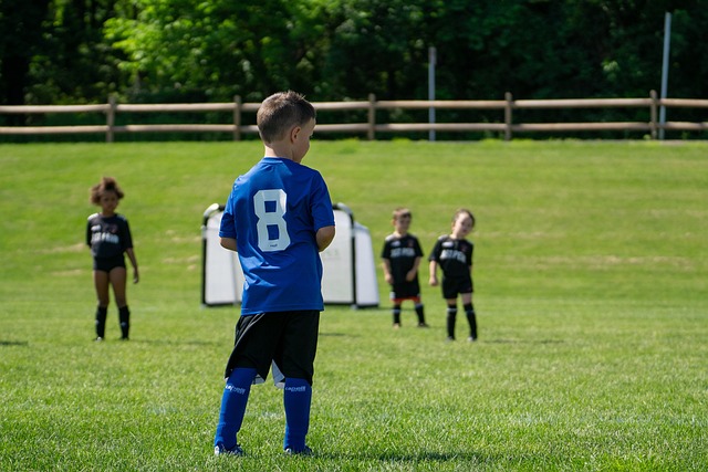 也是爱情进 也是爱情进