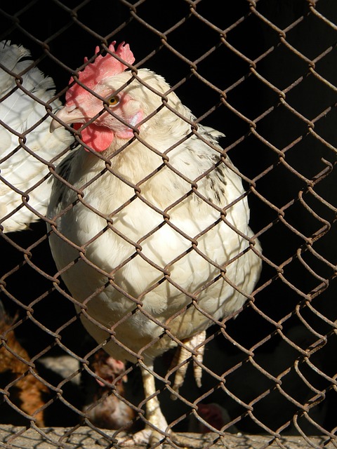 人们思考 人们思考