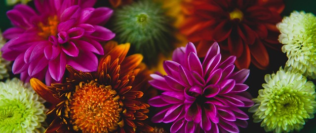 是一个标准 是一个标准